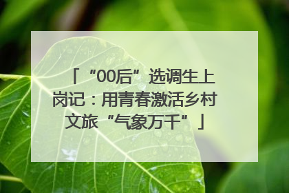 “00后”选调生上岗记：用青春激活乡村文旅“气象万千”