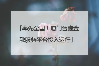 率先全国！厦门台胞金融服务平台投入运行