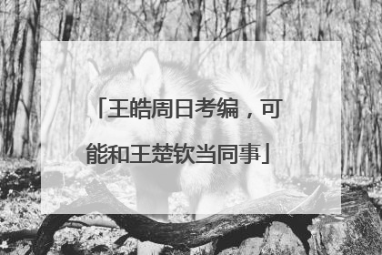 王皓周日考编，可能和王楚钦当同事