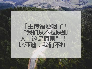 王传福哽咽了！“我们从不拉踩别人，这是原则”！比亚迪：我们不打价格战