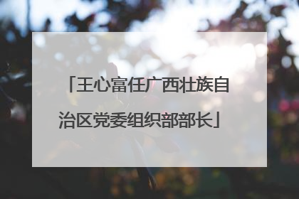 王心富任广西壮族自治区党委组织部部长