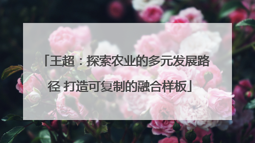 王超：探索农业的多元发展路径 打造可复制的融合样板