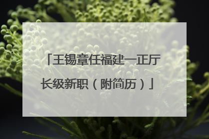 王锡章任福建一正厅长级新职（附简历）