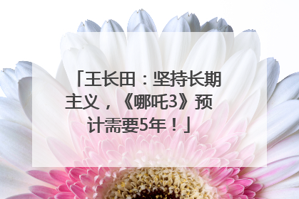 王长田：坚持长期主义，《哪吒3》预计需要5年！