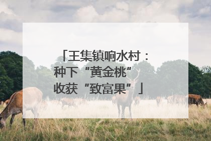 王集镇响水村：种下“黄金桃” 收获“致富果”