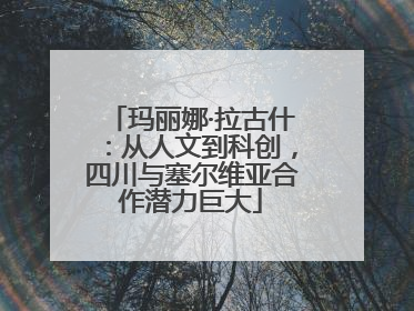 玛丽娜·拉古什：从人文到科创，四川与塞尔维亚合作潜力巨大