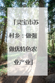 灵宝市苏村乡：做强做优特色农业产业