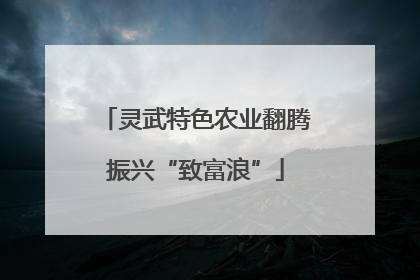 灵武特色农业翻腾振兴“致富浪”
