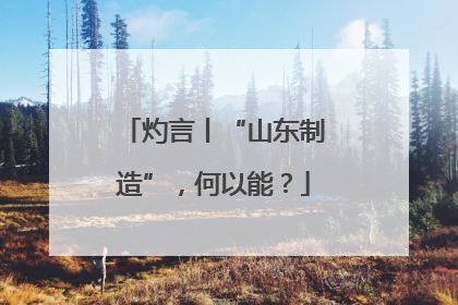 灼言丨“山东制造”，何以能？