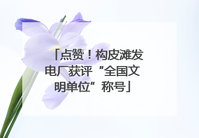 点赞！构皮滩发电厂获评“全国文明单位”称号