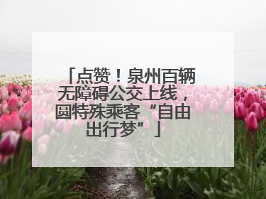 点赞！泉州百辆无障碍公交上线，圆特殊乘客“自由出行梦”
