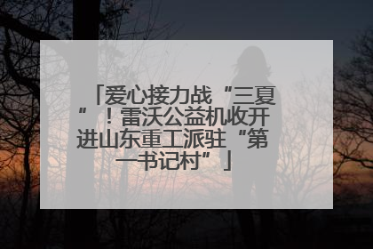 爱心接力战“三夏”！雷沃公益机收开进山东重工派驻“第一书记村”