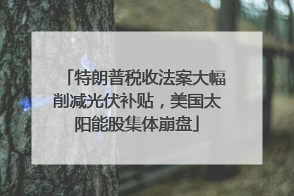 特朗普税收法案大幅削减光伏补贴，美国太阳能股集体崩盘