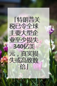 特朗普关税已令全球主要大型企业至少损失340亿美元，真实损失或高致数倍