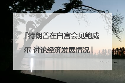 特朗普在白宫会见鲍威尔 讨论经济发展情况