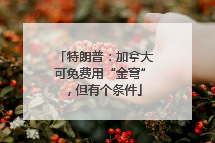特朗普：加拿大可免费用“金穹”，但有个条件
