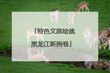 特色文旅绘就黑龙江新画卷