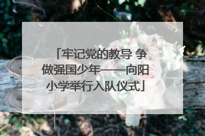 牢记党的教导 争做强国少年——向阳小学举行入队仪式