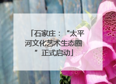 石家庄：“太平河文化艺术生态圈”正式启动