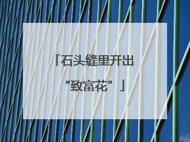 石头缝里开出“致富花”