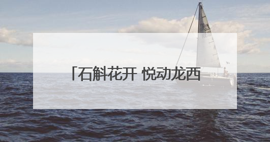 石斛花开 悦动龙西 2025龙西乡荧光村跑活动圆满举行