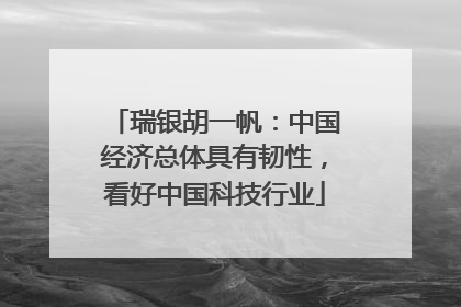瑞银胡一帆：中国经济总体具有韧性，看好中国科技行业