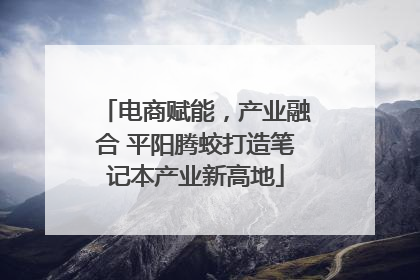 电商赋能，产业融合 平阳腾蛟打造笔记本产业新高地