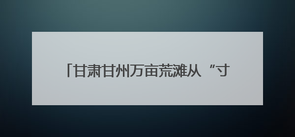 甘肃甘州万亩荒滩从“寸草不生”到“满眼绿意”