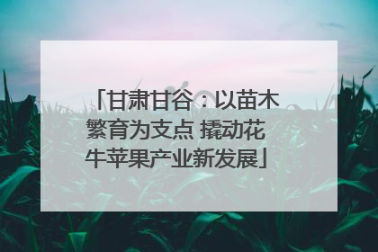 甘肃甘谷：以苗木繁育为支点 撬动花牛苹果产业新发展
