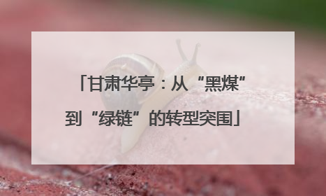 甘肃华亭：从“黑煤”到“绿链”的转型突围