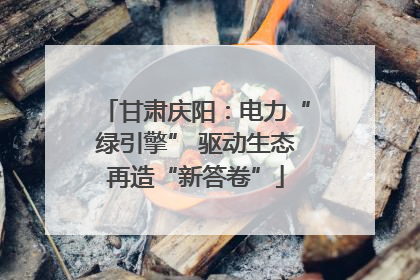 甘肃庆阳：电力“绿引擎” 驱动生态再造“新答卷”