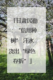甘肃民勤：“信用种树” 汗水浇出“绿色存折”