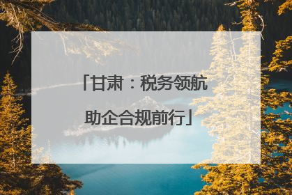 甘肃：税务领航 助企合规前行