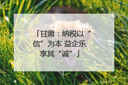 甘肃：纳税以“信”为本 益企乐享其“诚”
