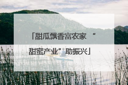 甜瓜飘香富农家 “甜蜜产业”助振兴