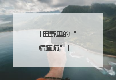田野里的“精算师”