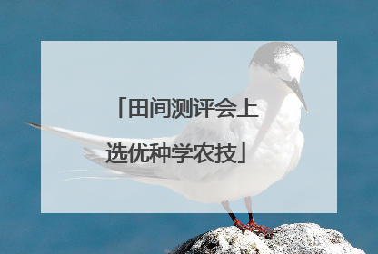 田间测评会上选优种学农技