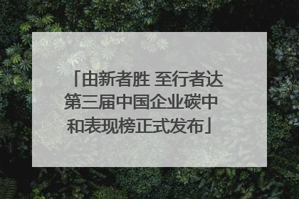 由新者胜 至行者达 第三届中国企业碳中和表现榜正式发布