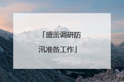 盛蕾调研防汛准备工作