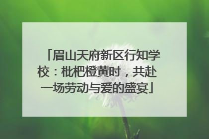 眉山天府新区行知学校：枇杷橙黄时，共赴一场劳动与爱的盛宴