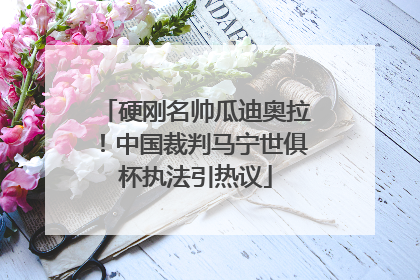 硬刚名帅瓜迪奥拉！中国裁判马宁世俱杯执法引热议