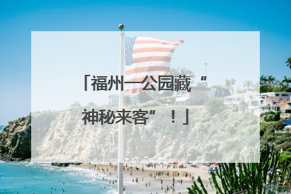 福州一公园藏“神秘来客”！