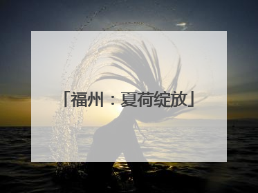 福州：夏荷绽放