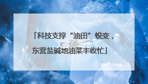 科技支撑“油田”蜕变，东营盐碱地油菜丰收忙