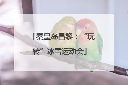 秦皇岛昌黎：“玩转”冰雪运动会