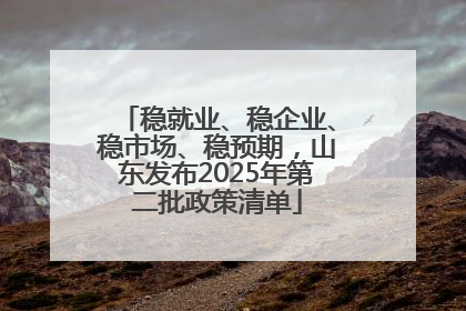 稳就业、稳企业、稳市场、稳预期，山东发布2025年第二批政策清单