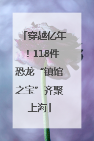 穿越亿年！118件恐龙“镇馆之宝”齐聚上海