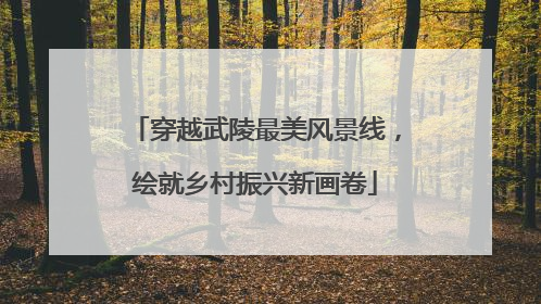 穿越武陵最美风景线，绘就乡村振兴新画卷