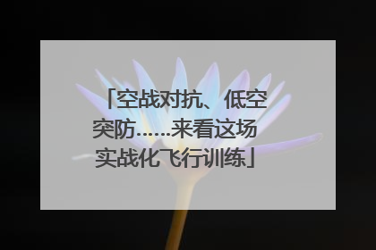 空战对抗、低空突防……来看这场实战化飞行训练