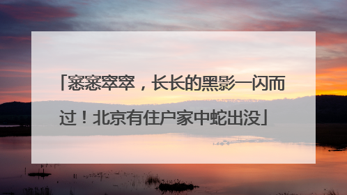 窸窸窣窣，长长的黑影一闪而过！北京有住户家中蛇出没